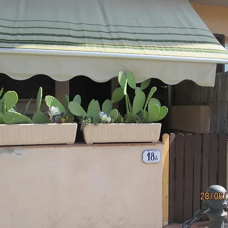 Cerboni 18 *